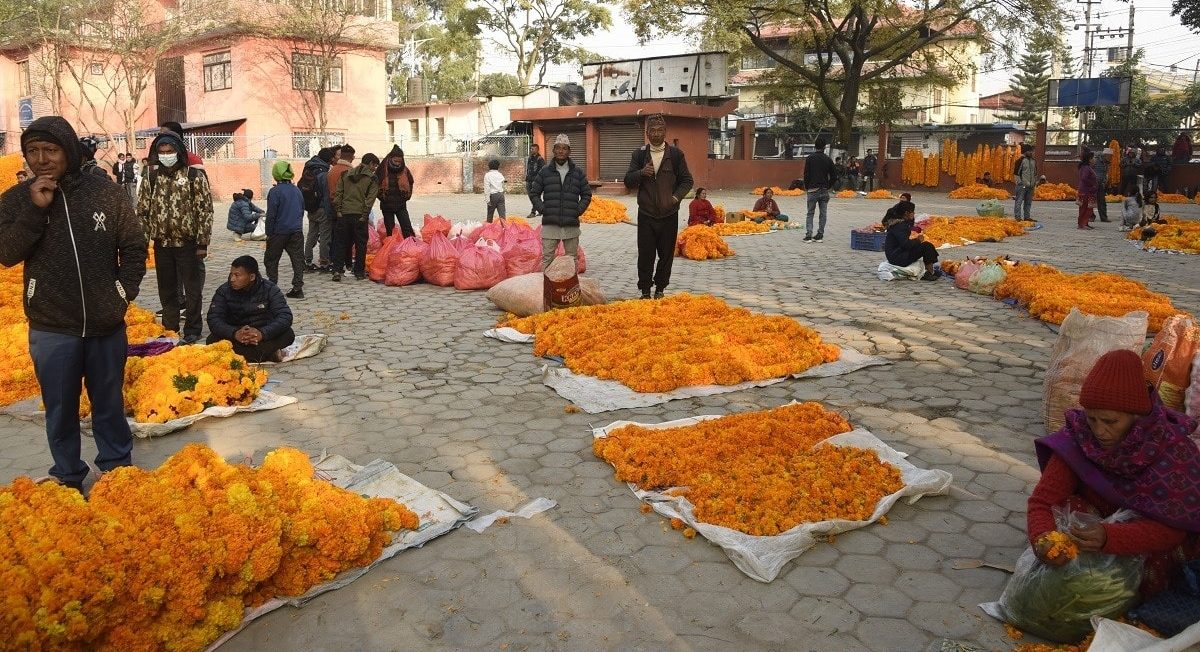 तिहारमा फूलमाला बिक्रीका लागि काठमाडौँमा ३२ स्थान ताेकिए (सूचीसहित)