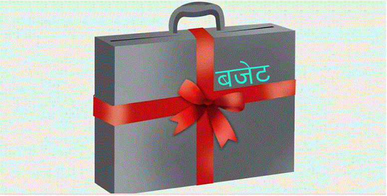 देशका ३४ स्थानीय तहले अझै ल्याएनन् बजेट
