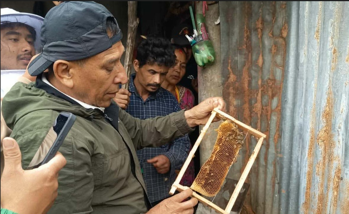 हेलम्बुमा तीनदिने आधारभूत मौरीपालन तालिम सम्पन्न