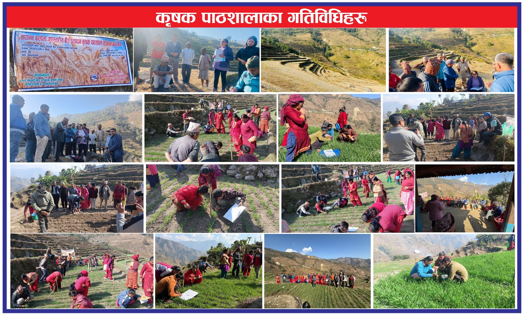 खाद्यान्न बालीमा गुणस्तरीय बीउ उत्पादन कृषक पाठशाला काभ्रेकाे चौरीदेउरालीमा सम्पन्न