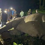 २५ जनाको ज्यान लिइसकेको ध्रुवे हात्तीलाई डार्ट गरी नयाँ रेडियो कलर जडान