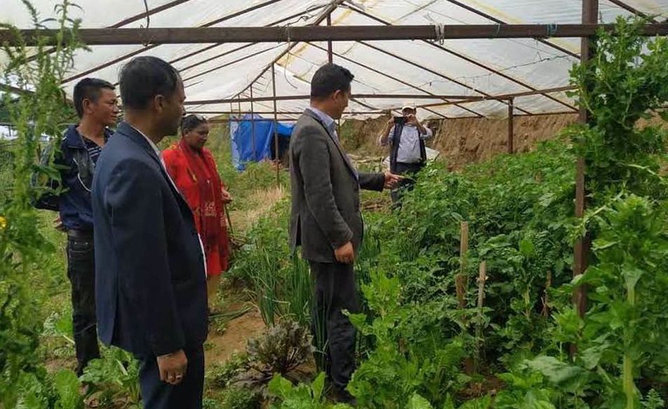 हेलम्बुका विद्यालयमा ‘किचन गार्डेन’ कार्यक्रम सुरू, शिक्षासँगै सीप र पोषणमा जोड