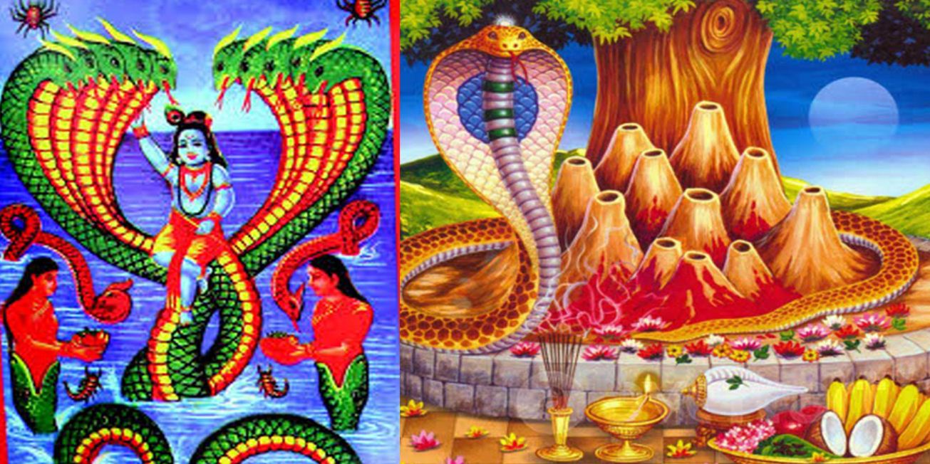 आज नाग पञ्चमी पर्व : घरघरमा नागको पूजाआजा गरी मनाइँदै