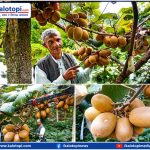 ‘आरुचौर’लाई किबी गाउँ बनाउँदै पनाैतीका उपेन्द्र : माटोसँग ६ दशक लामो सम्बन्ध (भिडियाेसहित)