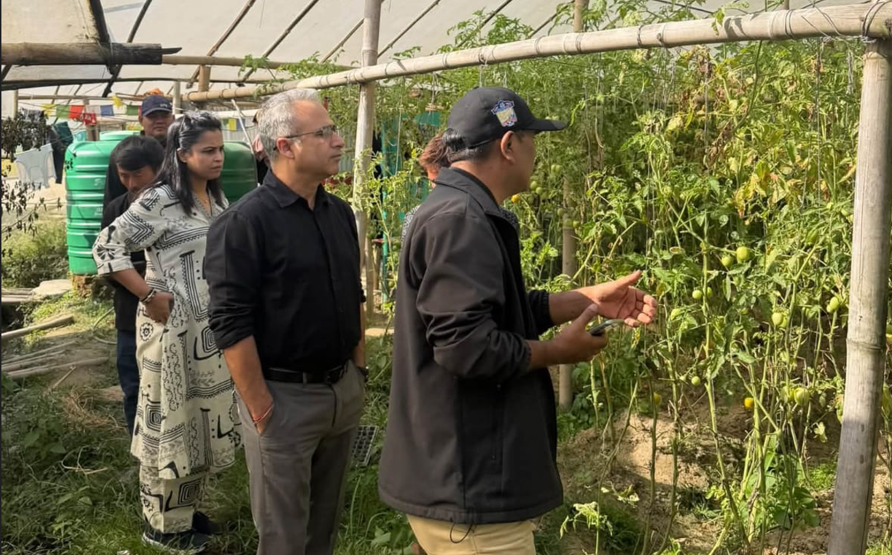 धुलिखेलमा गोलभेडामा लाग्ने घातक भाइरसको सम्भावित संक्रमणबारे स्थलगत अनुगमन