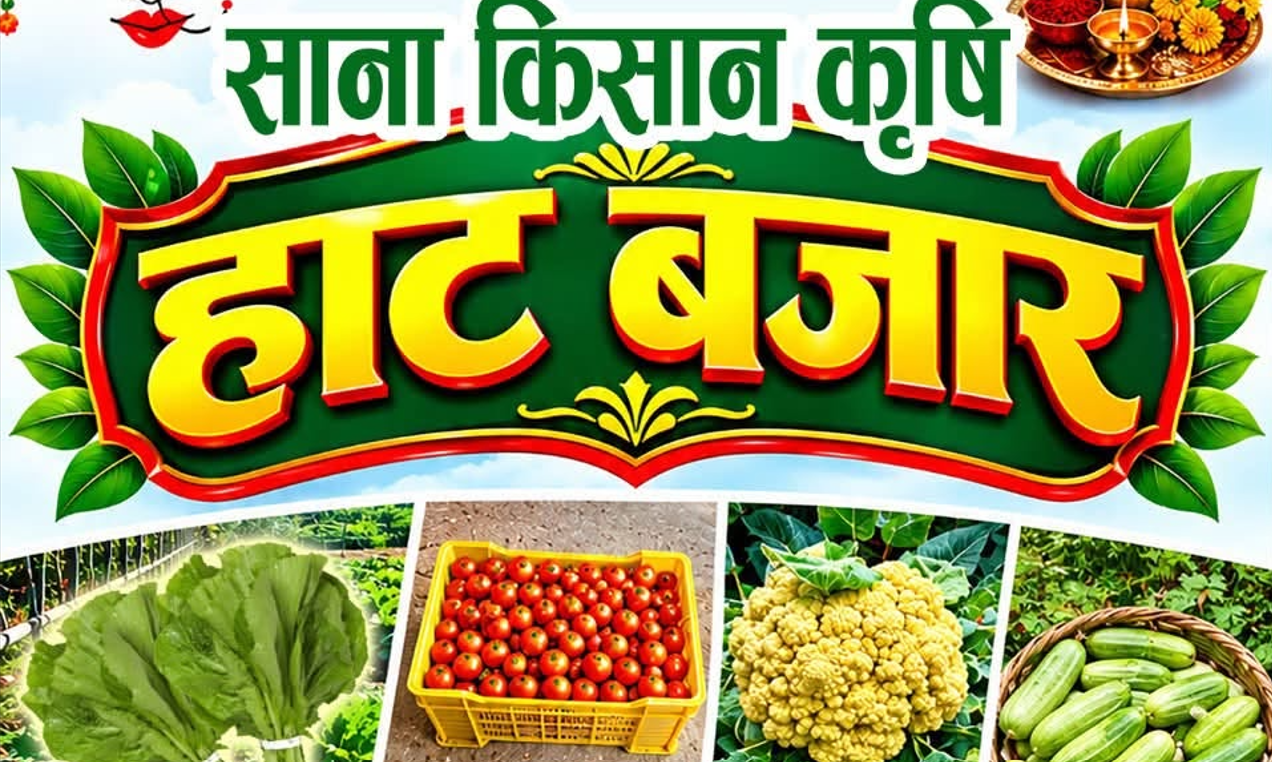 कुन्ताबेँसीमा कृषि हाटबजार सञ्चालन हुँदै, किसानका उत्पादनलाई बजारसँग जोड्ने लक्ष्य